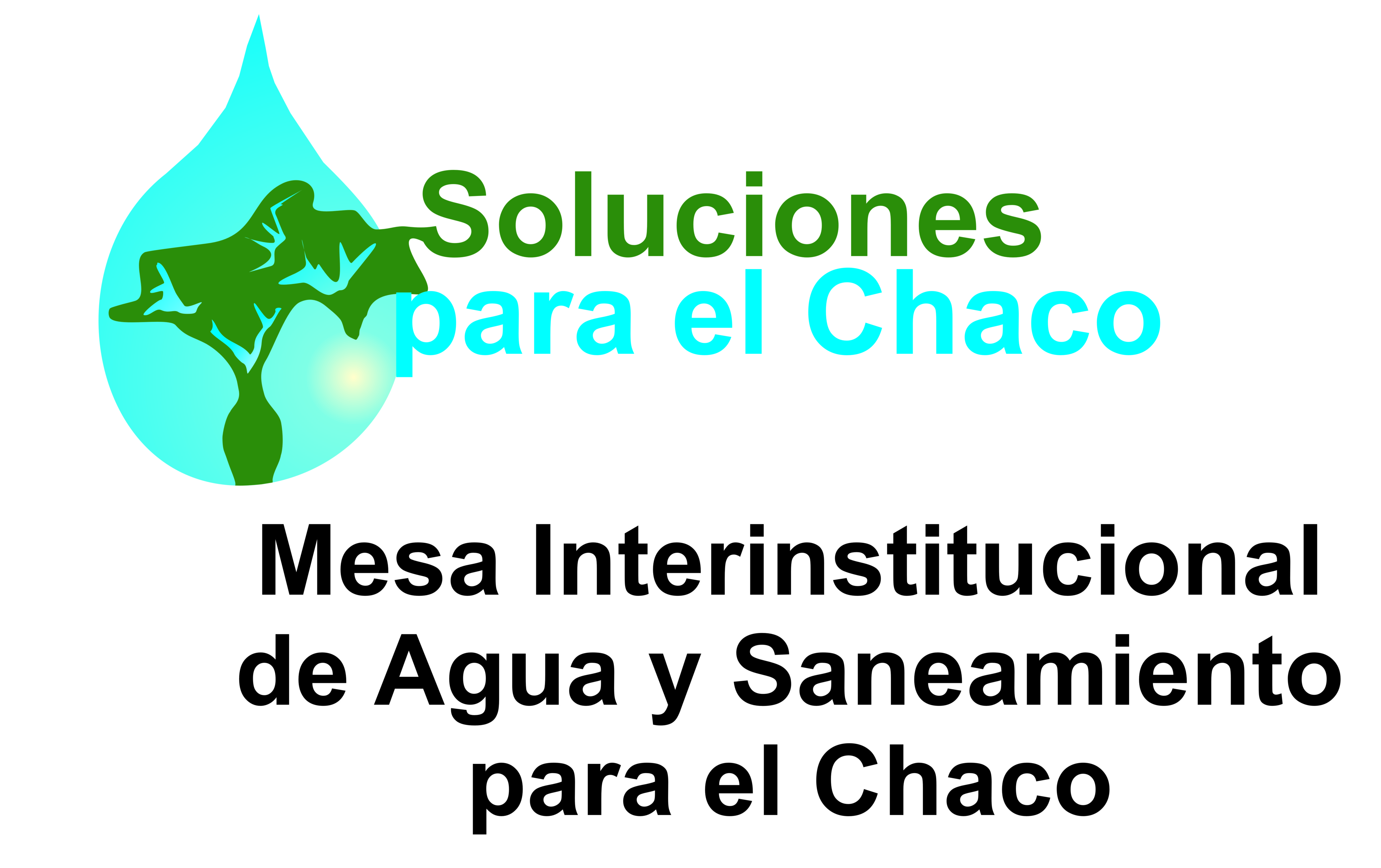 Mesa Interinstitucional de Agua y Saneamiento en el Chaco paraguayo